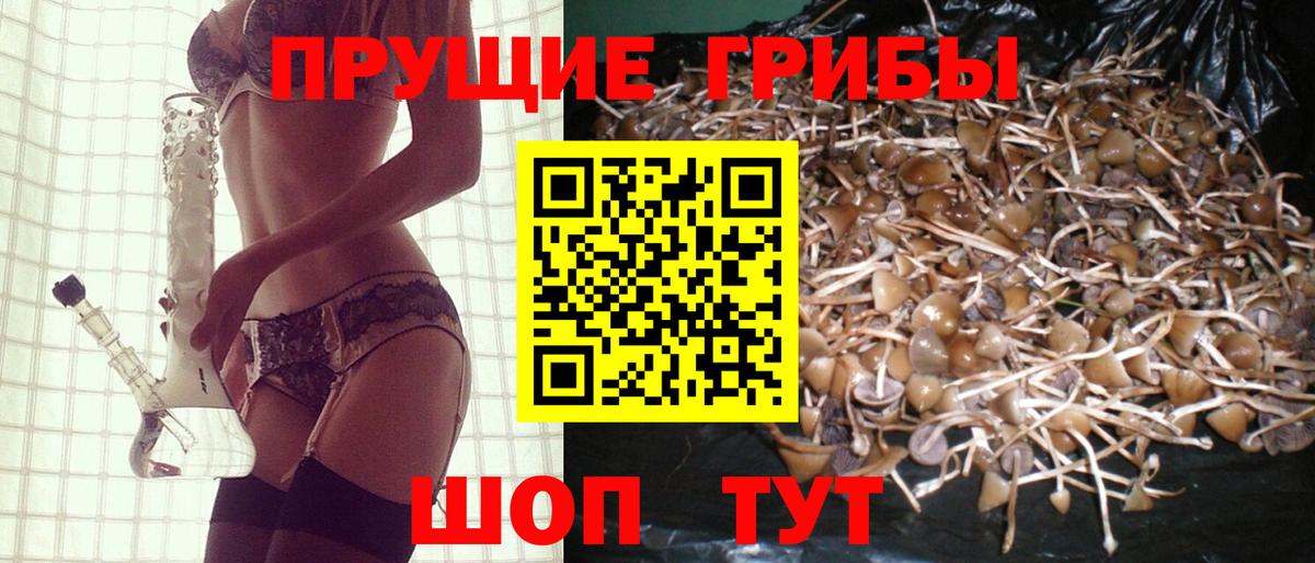 Псилоцибиновые грибы Psilocybine cubensis  Псилоцибиновые грибы прущие грибы  Димитровград  Вход с VPN 
